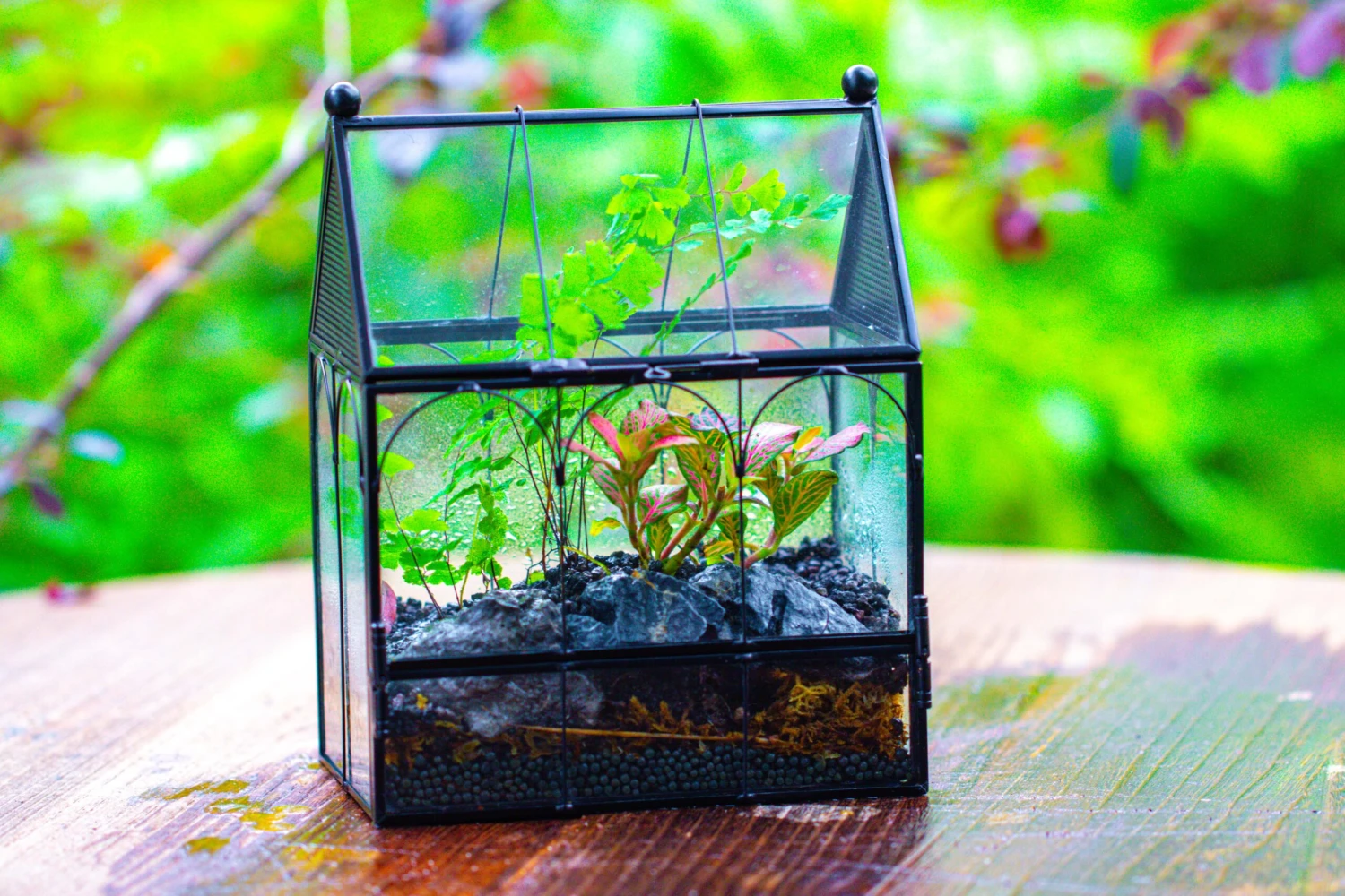 Vintage Mini House Shape Glass Geometric Terrarium For Jumping Spider 3 Vintage Mini House Shape Glass Geometric Terrarium For Jumping Spider - Image 3