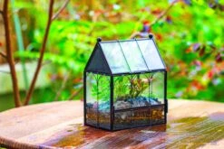 Vintage Mini House Shape Glass Geometric Terrarium For Jumping Spider 34 Vintage Mini House Shape Glass Geometric Terrarium For Jumping Spider -Glass Plant Store IMG 0424
