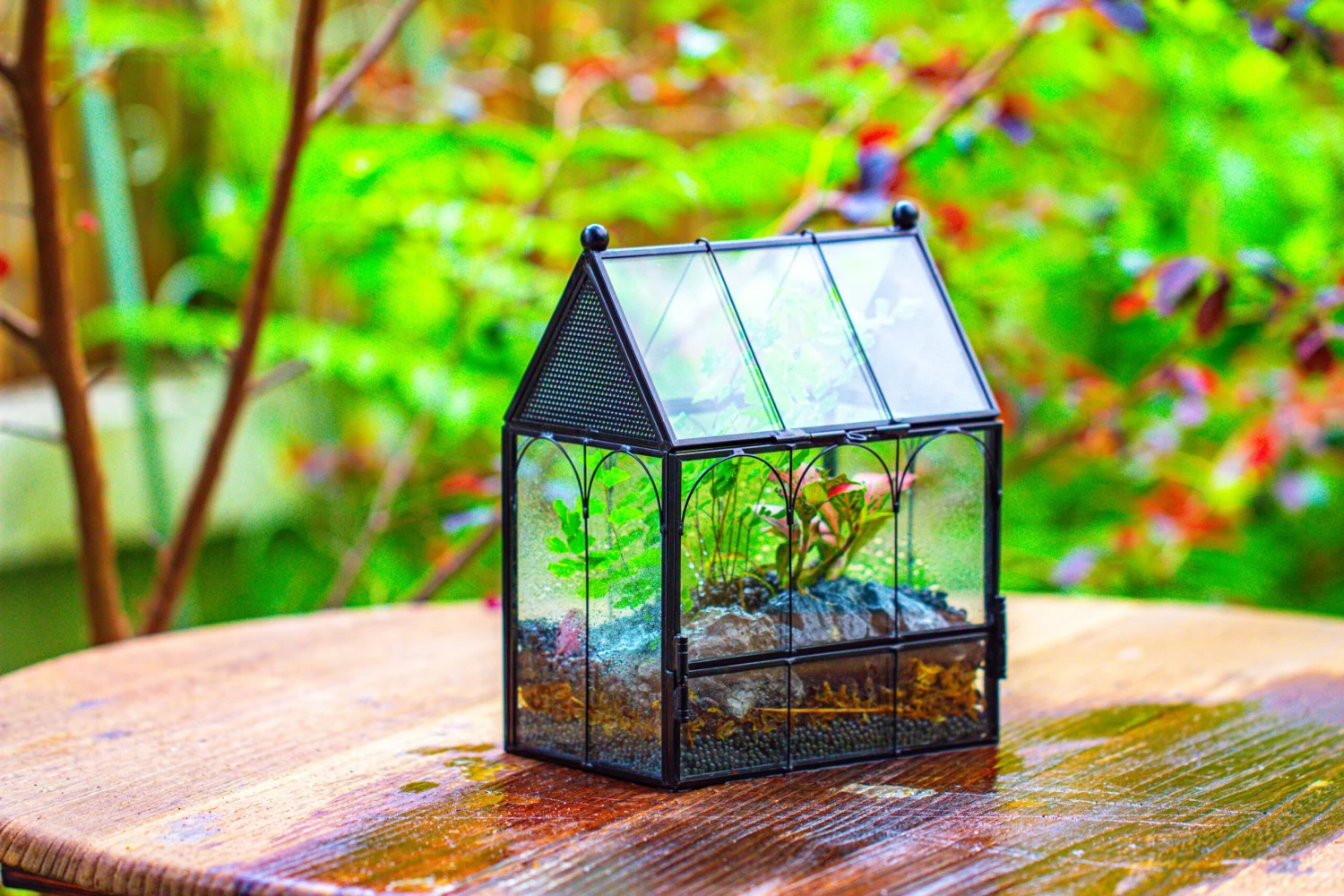 Vintage Mini House Shape Glass Geometric Terrarium For Jumping Spider 15 Vintage Mini House Shape Glass Geometric Terrarium For Jumping Spider - Image 15