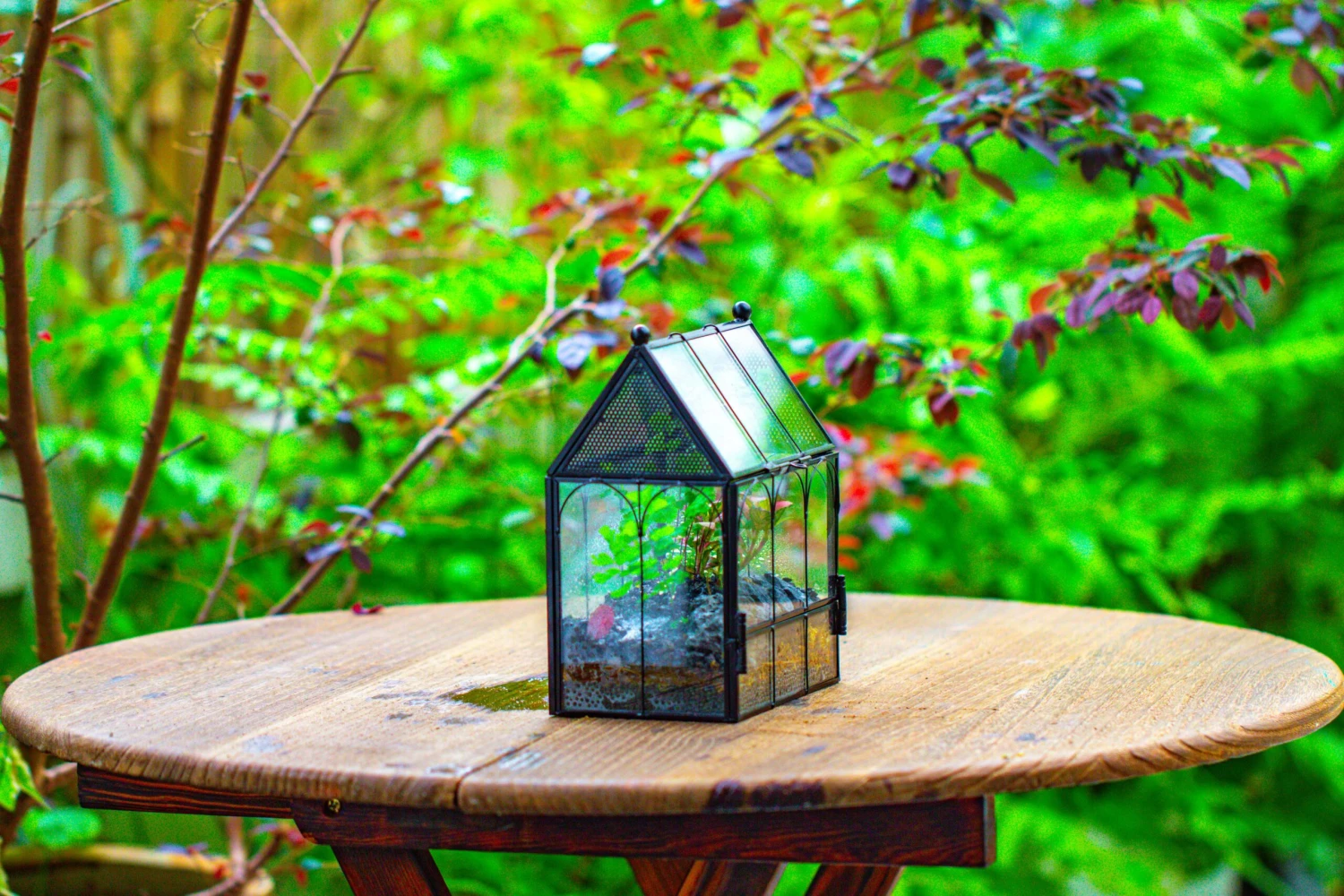 Vintage Mini House Shape Glass Geometric Terrarium For Jumping Spider 16 Vintage Mini House Shape Glass Geometric Terrarium For Jumping Spider - Image 16