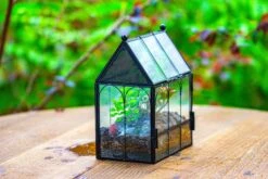 Vintage Mini House Shape Glass Geometric Terrarium For Jumping Spider 36 Vintage Mini House Shape Glass Geometric Terrarium For Jumping Spider -Glass Plant Store IMG 0426