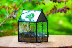 Vintage Mini House Shape Glass Geometric Terrarium For Jumping Spider 39 Vintage Mini House Shape Glass Geometric Terrarium For Jumping Spider -Glass Plant Store IMG 0430