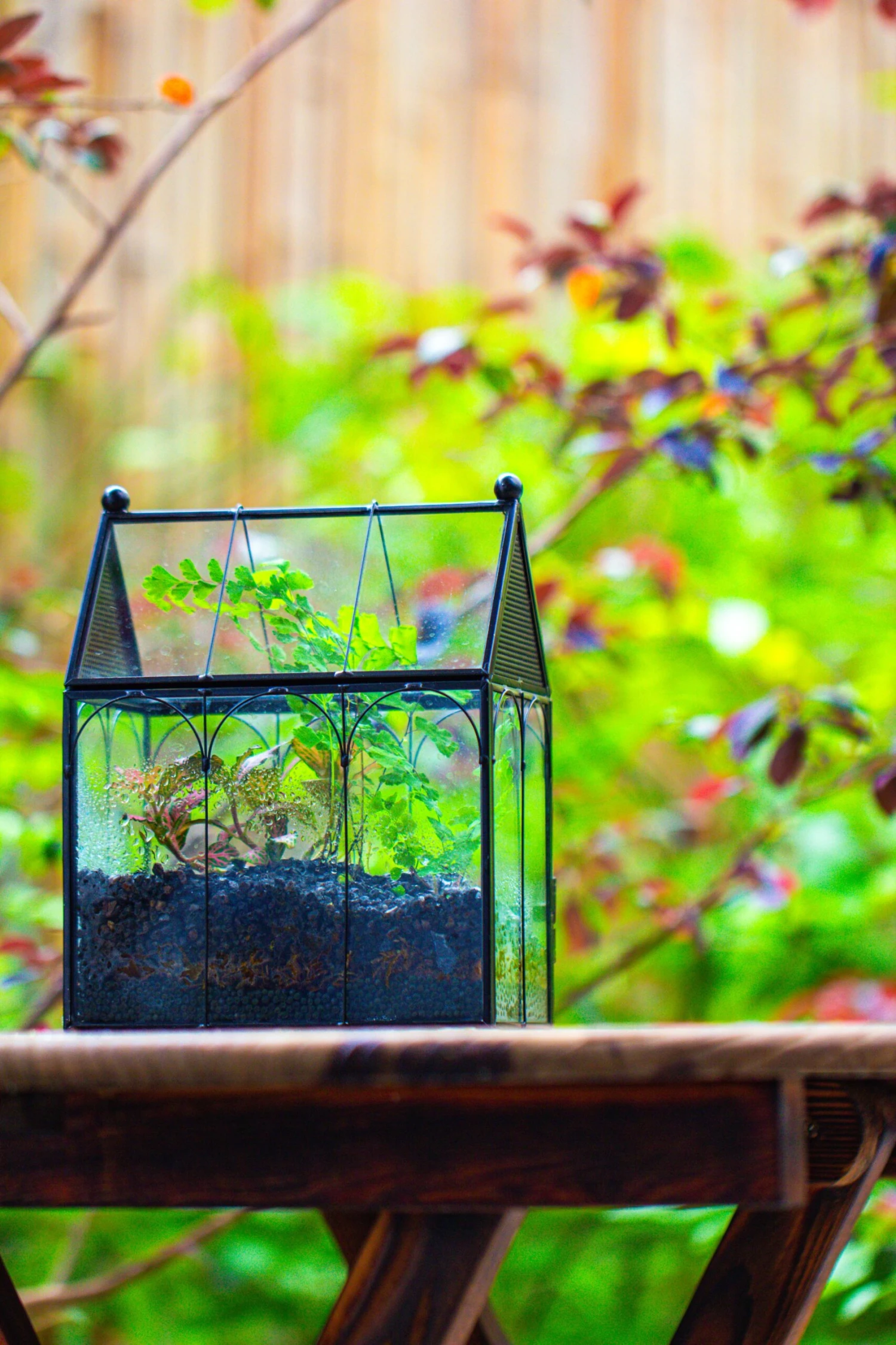 Vintage Mini House Shape Glass Geometric Terrarium For Jumping Spider 5 Vintage Mini House Shape Glass Geometric Terrarium For Jumping Spider - Image 5