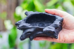 Small Black Tree Stump Like Planter, For Terrarium, Microlandscape -Glass Plant Store IMG 0622 297cf485 cf91 45ff 9041 2c662fe9928e