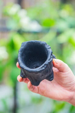 Small Black Tree Stump Like Planter, For Terrarium, Microlandscape -Glass Plant Store IMG 0672