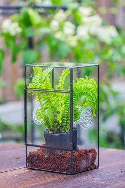 Rectangle Tin And Glass Geometric Terrarium Kit, With Side Door, With Vent, Snail Terrarium Building Set 26 Rectangle Tin And Glass Geometric Terrarium Kit, With Side Door, With Vent, Snail Terrarium Building Set -Glass Plant Store IMG 0680