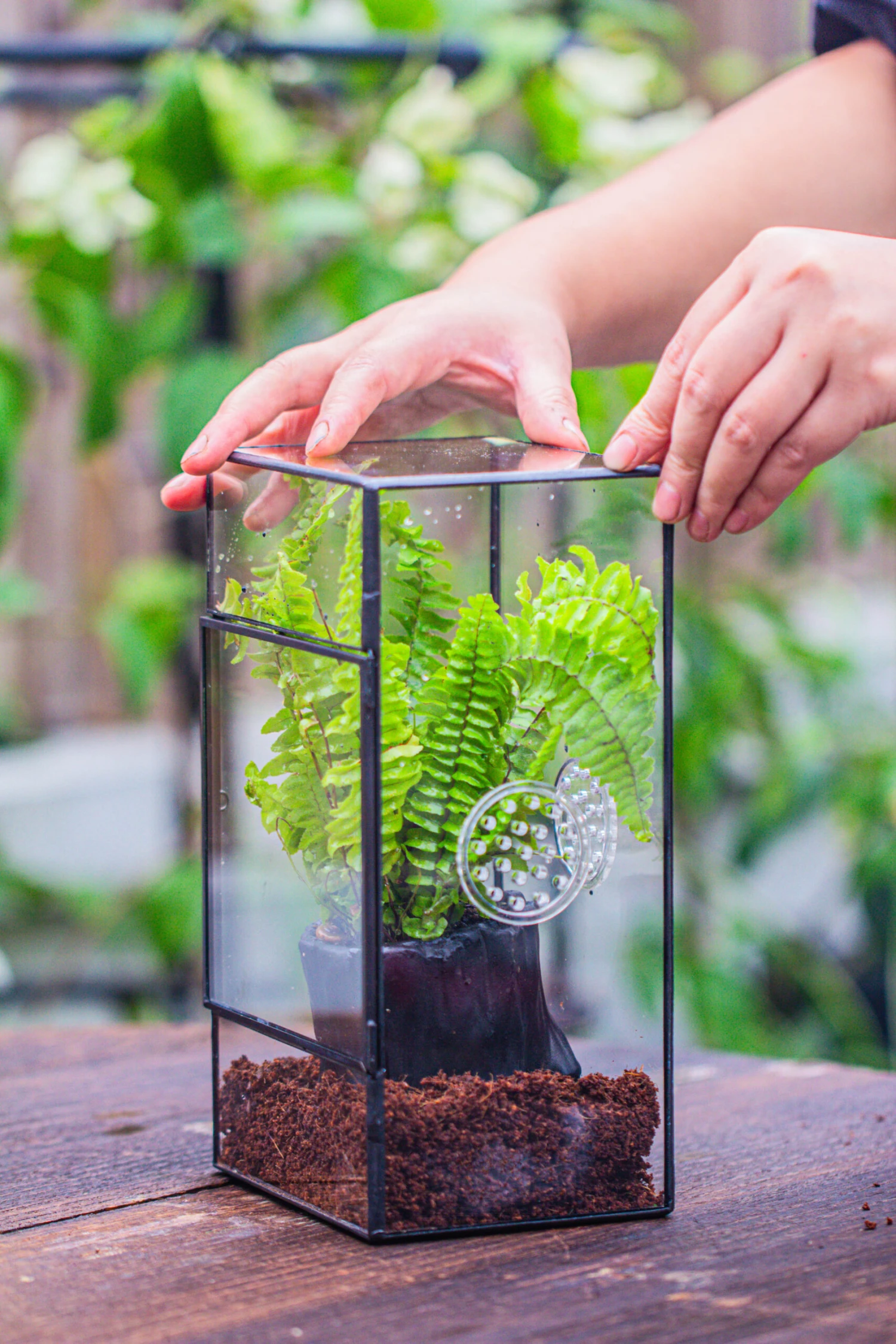 Rectangle Tin And Glass Geometric Terrarium Kit, With Side Door, With Vent, Snail Terrarium Building Set 14 Rectangle Tin And Glass Geometric Terrarium Kit, With Side Door, With Vent, Snail Terrarium Building Set - Image 14