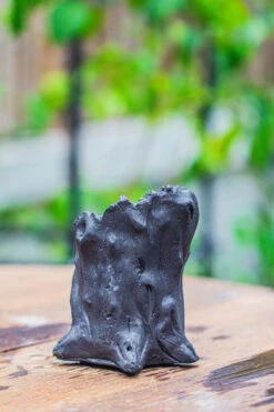 Small Black Tree Stump Like Planter, For Terrarium, Microlandscape -Glass Plant Store IMG 0836