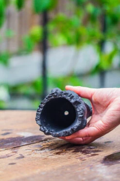 Small Black Tree Stump Like Planter, For Terrarium, Microlandscape -Glass Plant Store IMG 0838