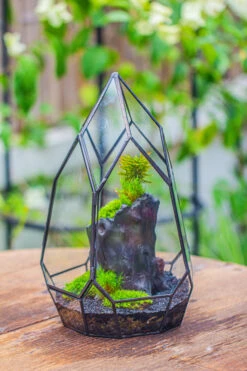 NCYP Irregular Close Geometric Glass Terrarium With Door Tall Teardrop Container Moss Terrarium DIY Building Kit -Glass Plant Store IMG 0858