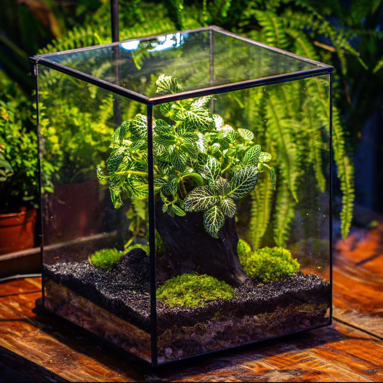 8x8x10" Tin And Glass Terrarium Kit, Tree And Moss Land 4 8x8x10" Tin And Glass Terrarium Kit, Tree And Moss Land - Image 4