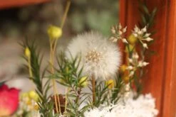 Presered Dandelion Set 3 Pcs Dried Flowers, DIY Material For Bouquet, -Glass Plant Store IMG 1041 1