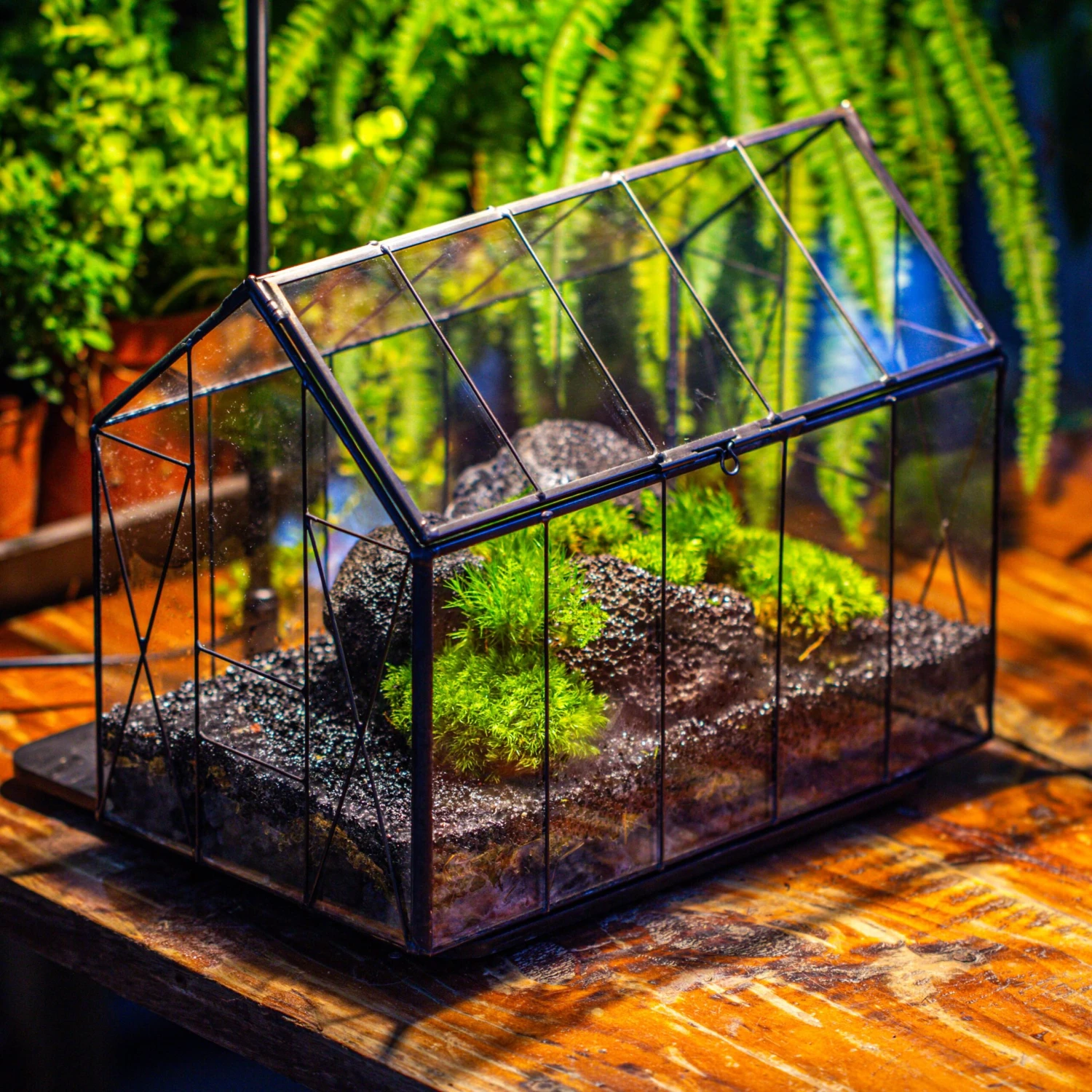 Handmade Vintage Greenhouse Inspired Tin Terrarium With LED Grow Light Set, Closed Glass Planter Set 19 Handmade Vintage Greenhouse Inspired Tin Terrarium With LED Grow Light Set, Closed Glass Planter Set - Image 19