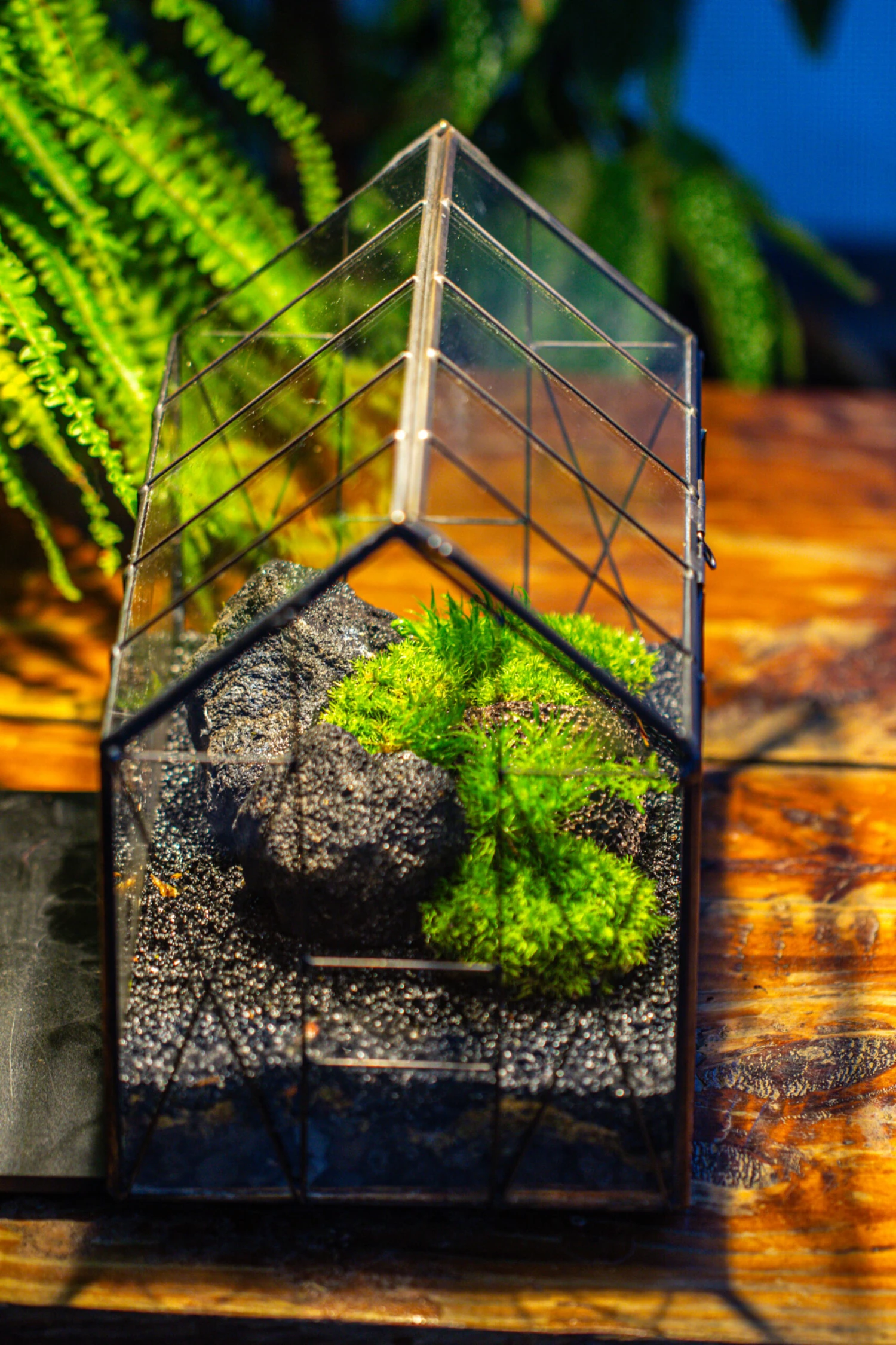 Handmade Vintage Greenhouse Inspired Tin Terrarium With LED Grow Light Set, Closed Glass Planter Set 14 Handmade Vintage Greenhouse Inspired Tin Terrarium With LED Grow Light Set, Closed Glass Planter Set - Image 14