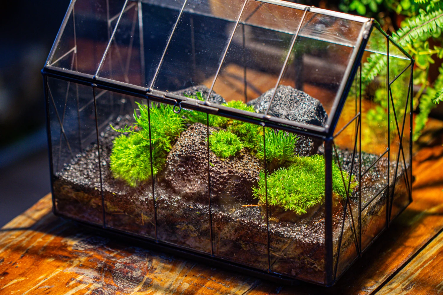 Handmade Vintage Greenhouse Inspired Tin Terrarium With LED Grow Light Set, Closed Glass Planter Set 18 Handmade Vintage Greenhouse Inspired Tin Terrarium With LED Grow Light Set, Closed Glass Planter Set - Image 18