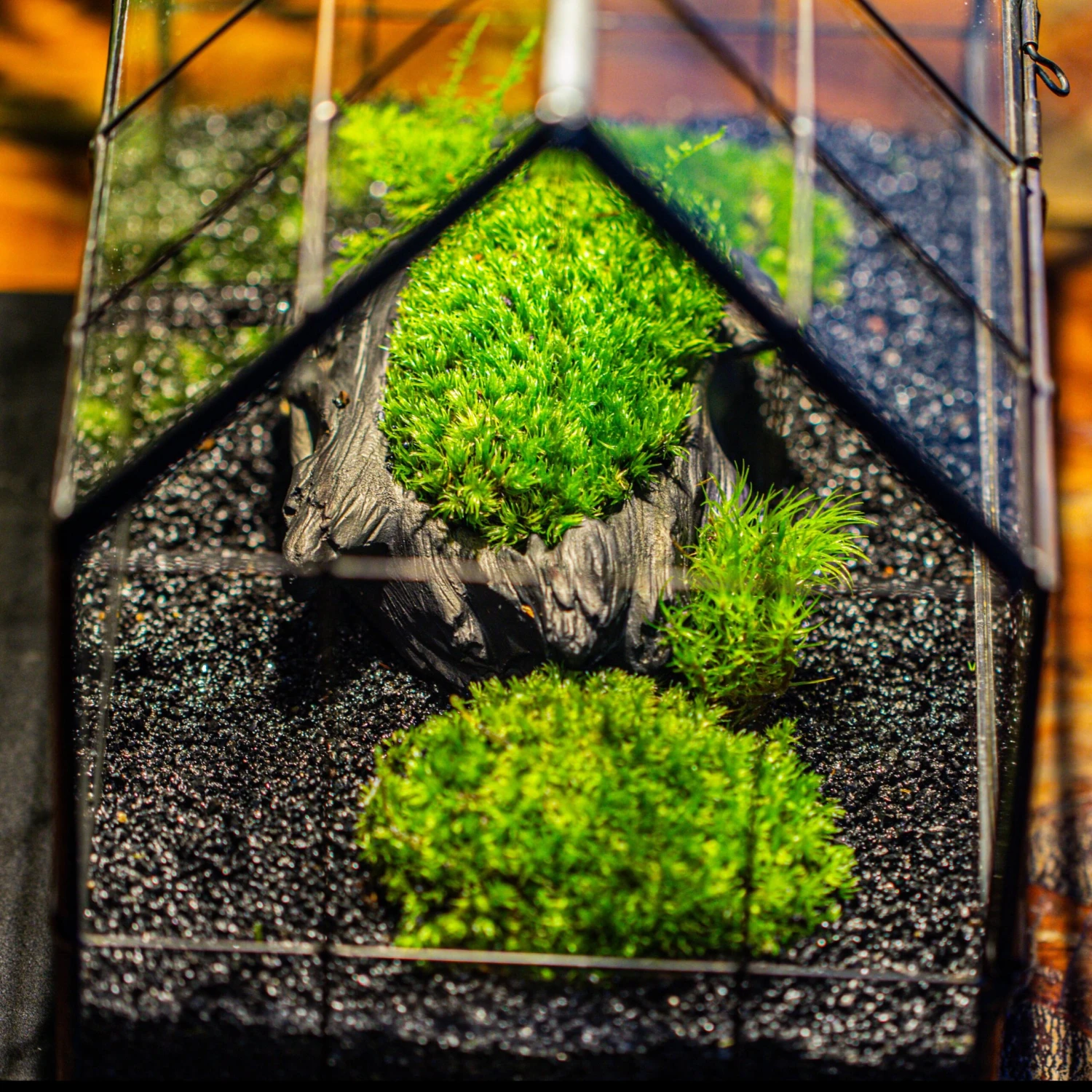 Decorative Black Galaxy Rocks Quartz Sand For Succulents Top Dressing, Terrarium, Fairy Gardening 2 Decorative Black Galaxy Rocks Quartz Sand For Succulents Top Dressing, Terrarium, Fairy Gardening - Image 2