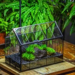 Black Theme Moss And Lava Rocks Vintage Greenhgouse Tin And Glass Terrarium Kit
