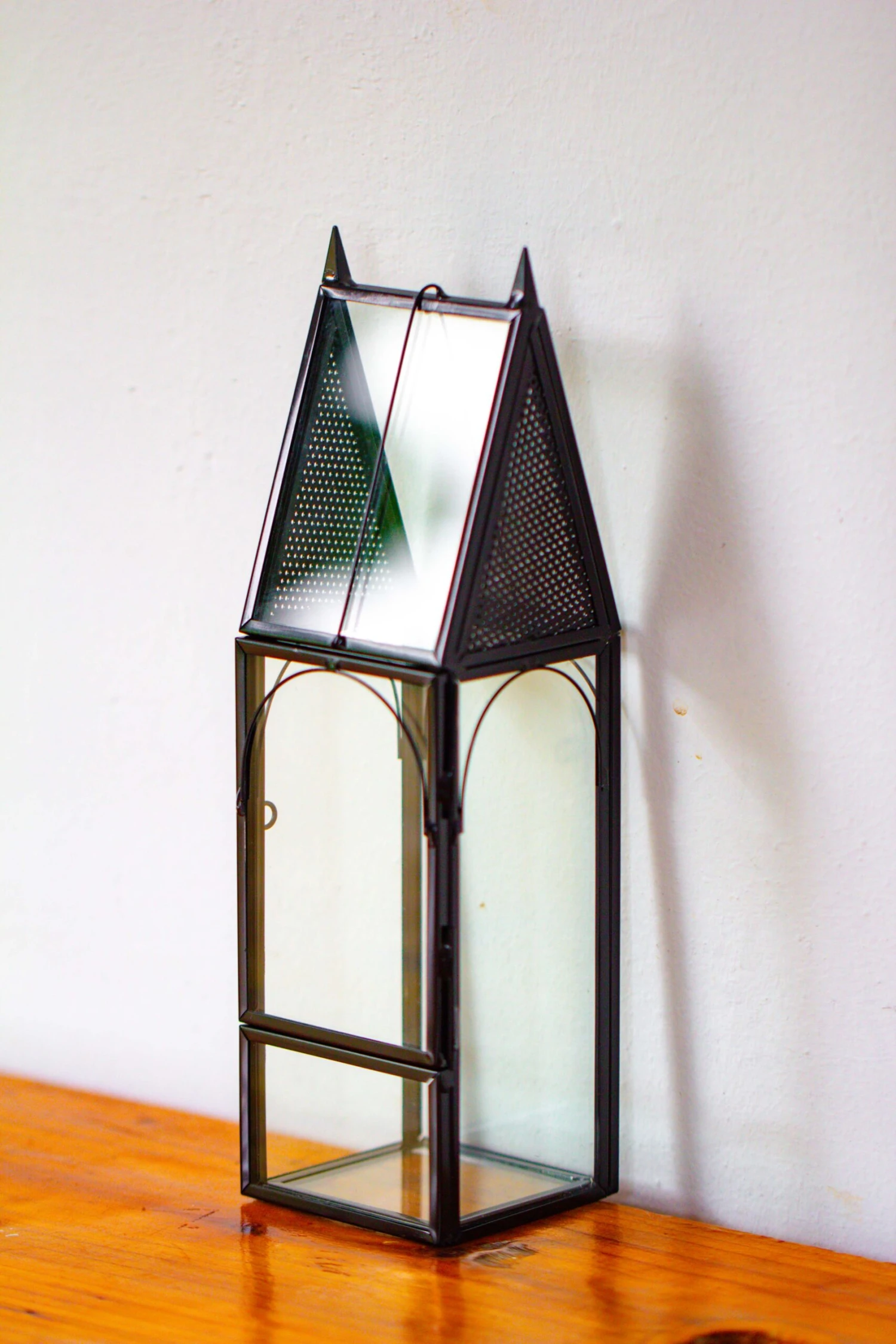 Mini Tall House Shape Jumping Spider Terrarium 4 Mini Tall House Shape Jumping Spider Terrarium - Image 4