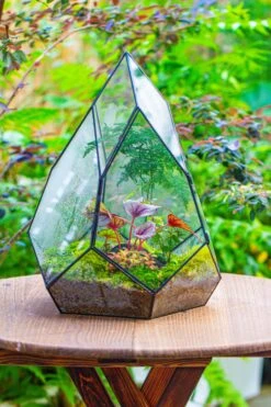 Large 16" Tall And Wide Teardrop Tin And Glass Terrarium, Close, With Door 26 Large 16" Tall And Wide Teardrop Tin And Glass Terrarium, Close, With Door -Glass Plant Store IMG 1299 dac60fa3 d7c5 49d8 9dfd e88e9486fc48