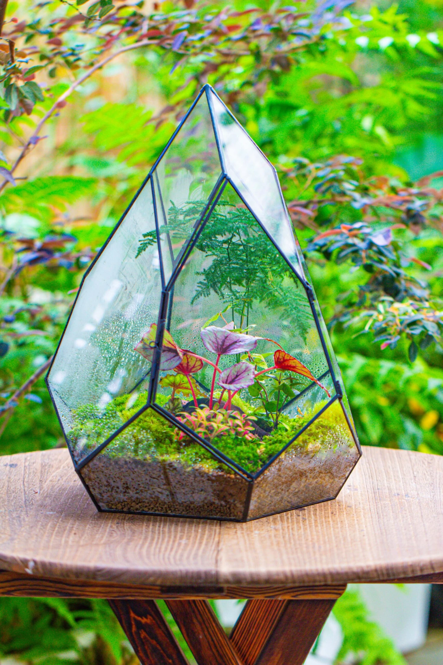 Large 16" Tall And Wide Teardrop Tin And Glass Terrarium, Close, With Door 7 Large 16" Tall And Wide Teardrop Tin And Glass Terrarium, Close, With Door - Image 7