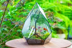 Large 16" Tall And Wide Teardrop Tin And Glass Terrarium, Close, With Door 27 Large 16" Tall And Wide Teardrop Tin And Glass Terrarium, Close, With Door -Glass Plant Store IMG 1300 64c65c72 c675 4a84 a756 baebf61745fb