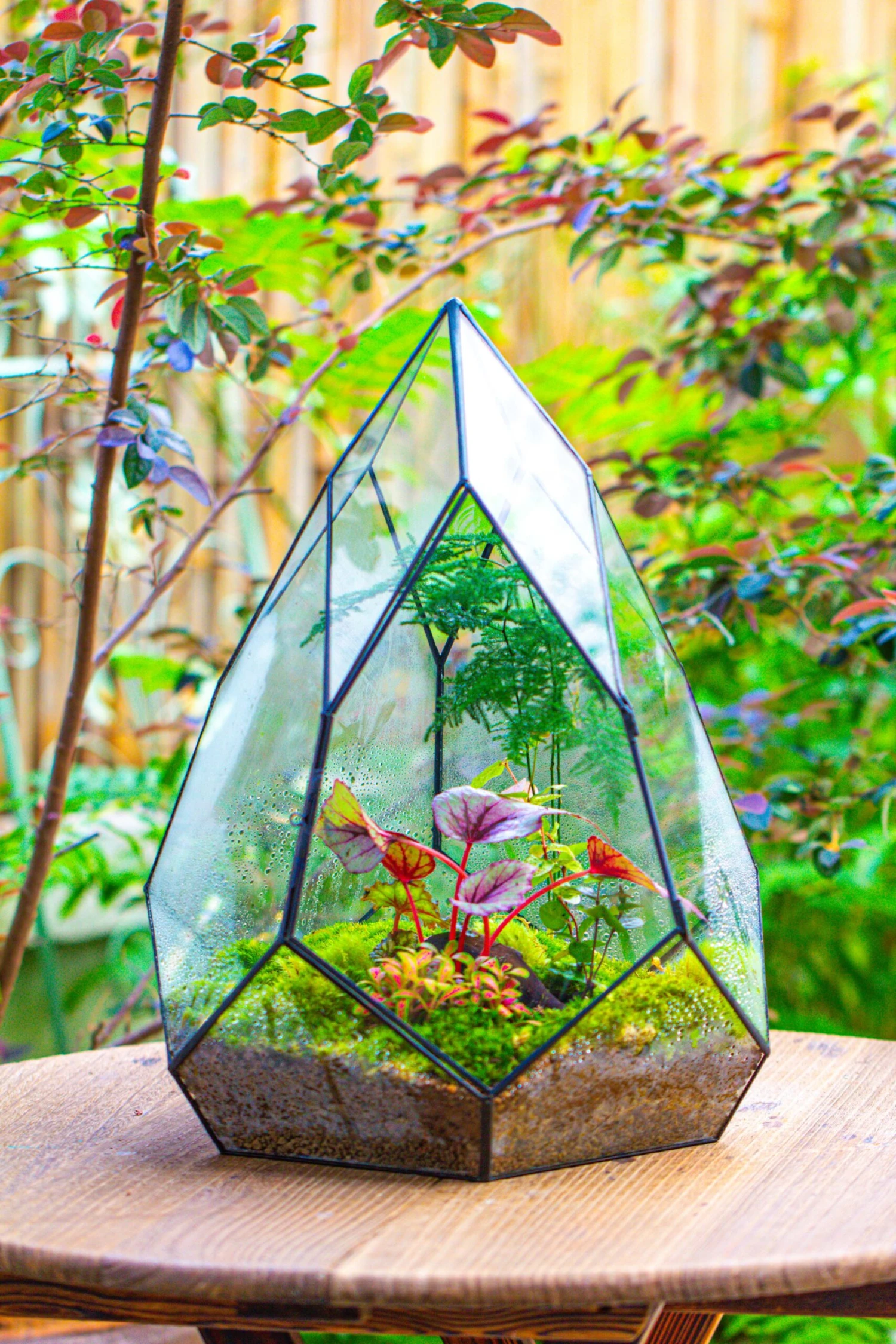 Large 16" Tall And Wide Teardrop Tin And Glass Terrarium, Close, With Door 11 Large 16" Tall And Wide Teardrop Tin And Glass Terrarium, Close, With Door - Image 11