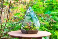 Large 16" Tall And Wide Teardrop Tin And Glass Terrarium, Close, With Door 25 Large 16" Tall And Wide Teardrop Tin And Glass Terrarium, Close, With Door -Glass Plant Store IMG 1304