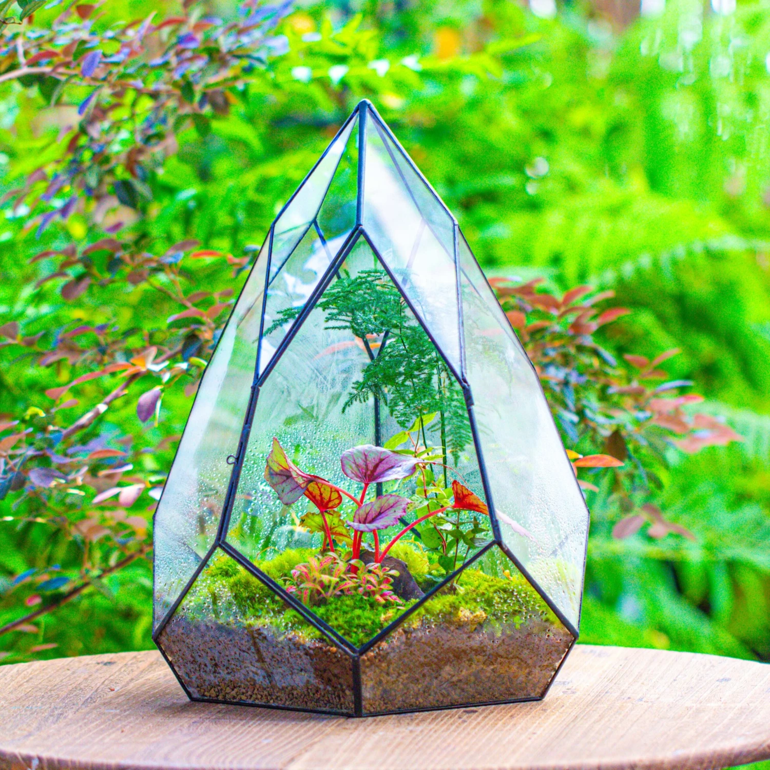 Large 16" Tall And Wide Teardrop Tin And Glass Terrarium, Close, With Door 1 Large 16" Tall And Wide Teardrop Tin And Glass Terrarium, Close, With Door