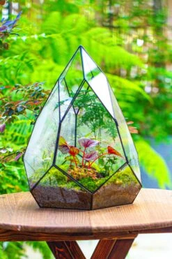 Large 16" Tall And Wide Teardrop Tin And Glass Terrarium, Close, With Door 31 Large 16" Tall And Wide Teardrop Tin And Glass Terrarium, Close, With Door -Glass Plant Store IMG 1306