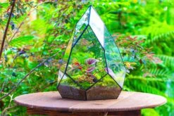 Large 16" Tall And Wide Teardrop Tin And Glass Terrarium, Close, With Door 36 Large 16" Tall And Wide Teardrop Tin And Glass Terrarium, Close, With Door -Glass Plant Store IMG 1316
