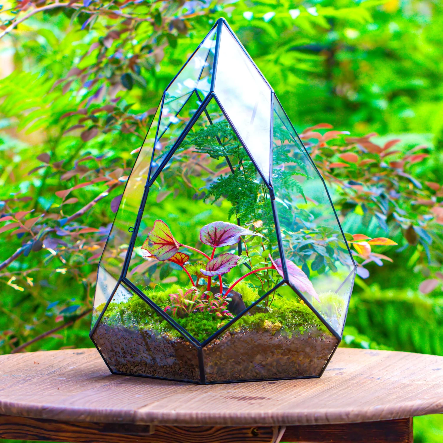 Large 16" Tall And Wide Teardrop Tin And Glass Terrarium, Close, With Door 4 Large 16" Tall And Wide Teardrop Tin And Glass Terrarium, Close, With Door - Image 4