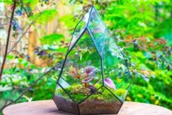 Large 16" Tall And Wide Teardrop Tin And Glass Terrarium, Close, With Door 37 Large 16" Tall And Wide Teardrop Tin And Glass Terrarium, Close, With Door -Glass Plant Store IMG 1317 4a0f4412 4cd7 4724 ad97 0d4f980faff8