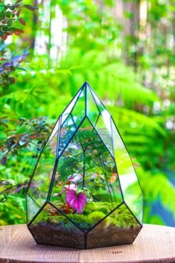 Large 16" Tall And Wide Teardrop Tin And Glass Terrarium, Close, With Door 34 Large 16" Tall And Wide Teardrop Tin And Glass Terrarium, Close, With Door -Glass Plant Store IMG 1321 021bad38 518f 4734 b4a5 02150e9a53f6