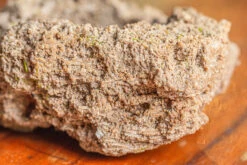 Natural Limestone Rock For Moss, Bonsai, Hydroponic Planting, 500-700G 18 Natural Limestone Rock For Moss, Bonsai, Hydroponic Planting, 500-700G -Glass Plant Store IMG 1323