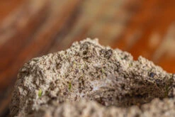 Natural Limestone Rock For Moss, Bonsai, Hydroponic Planting, 500-700G 19 Natural Limestone Rock For Moss, Bonsai, Hydroponic Planting, 500-700G -Glass Plant Store IMG 1324