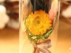 Dried Flowers Terrarium Gift Set Dried Strawflower Bouquet In Glass Tube -Glass Plant Store IMG 1334