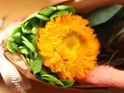 Dried Flowers Terrarium Gift Set Dried Strawflower Bouquet In Glass Tube -Glass Plant Store IMG 1335