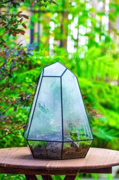 Large 16" Tall And Wide 6 Sided Cone Tin And Glass Terrarium, Close, With Door 26 Large 16" Tall And Wide 6 Sided Cone Tin And Glass Terrarium, Close, With Door -Glass Plant Store IMG 1339 5cb1e65d 56db 4b4d 85f0 ce9893af7921