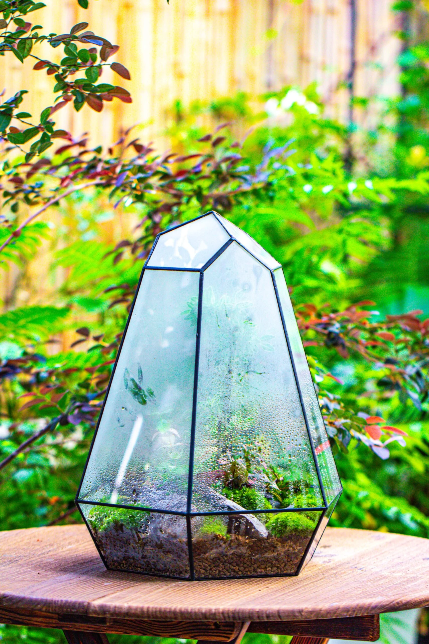 Large 16" Tall And Wide 6 Sided Cone Tin And Glass Terrarium, Close, With Door 8 Large 16" Tall And Wide 6 Sided Cone Tin And Glass Terrarium, Close, With Door - Image 8