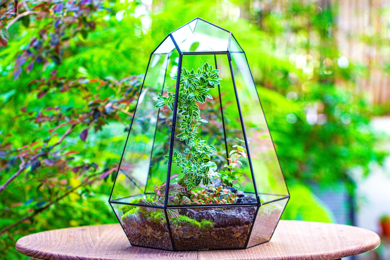 Large 16" Tall And Wide 6 Sided Cone Tin And Glass Terrarium, Close, With Door 13 Large 16" Tall And Wide 6 Sided Cone Tin And Glass Terrarium, Close, With Door - Image 13