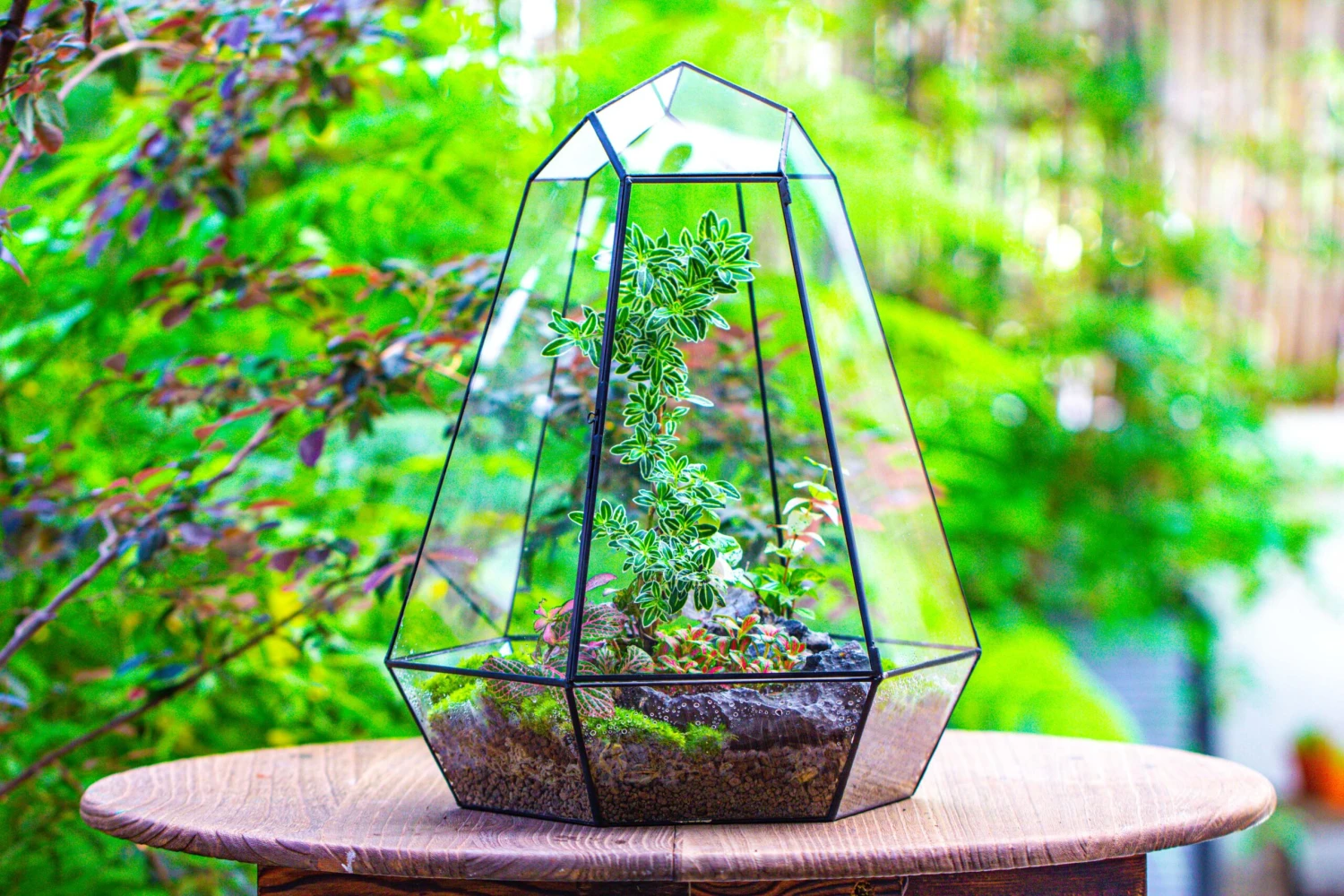 Large 16" Tall And Wide 6 Sided Cone Tin And Glass Terrarium, Close, With Door 14 Large 16" Tall And Wide 6 Sided Cone Tin And Glass Terrarium, Close, With Door - Image 14