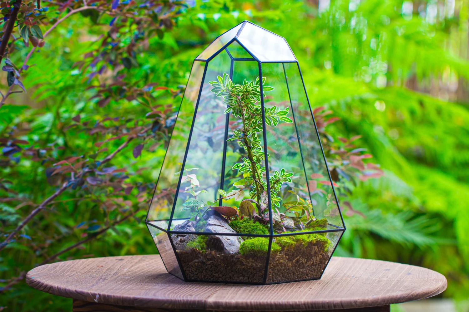 Large 16" Tall And Wide 6 Sided Cone Tin And Glass Terrarium, Close, With Door 15 Large 16" Tall And Wide 6 Sided Cone Tin And Glass Terrarium, Close, With Door - Image 15