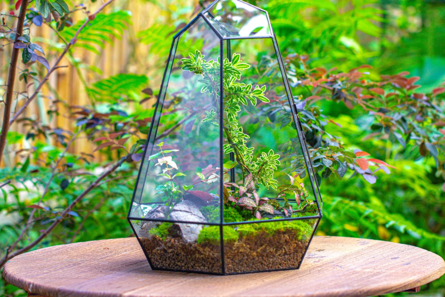 Large 16" Tall And Wide 6 Sided Cone Tin And Glass Terrarium, Close, With Door 19 Large 16" Tall And Wide 6 Sided Cone Tin And Glass Terrarium, Close, With Door - Image 19