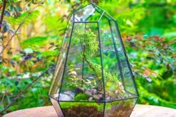 Large 16" Tall And Wide 6 Sided Cone Tin And Glass Terrarium, Close, With Door 37 Large 16" Tall And Wide 6 Sided Cone Tin And Glass Terrarium, Close, With Door -Glass Plant Store IMG 1355 2