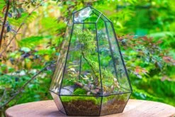 Large 16" Tall And Wide 6 Sided Cone Tin And Glass Terrarium, Close, With Door 39 Large 16" Tall And Wide 6 Sided Cone Tin And Glass Terrarium, Close, With Door -Glass Plant Store IMG 1356 2