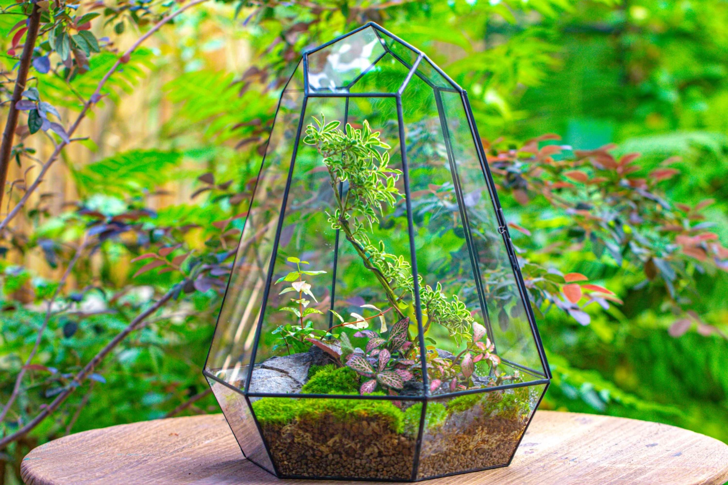 Large 16" Tall And Wide 6 Sided Cone Tin And Glass Terrarium, Close, With Door 20 Large 16" Tall And Wide 6 Sided Cone Tin And Glass Terrarium, Close, With Door - Image 20