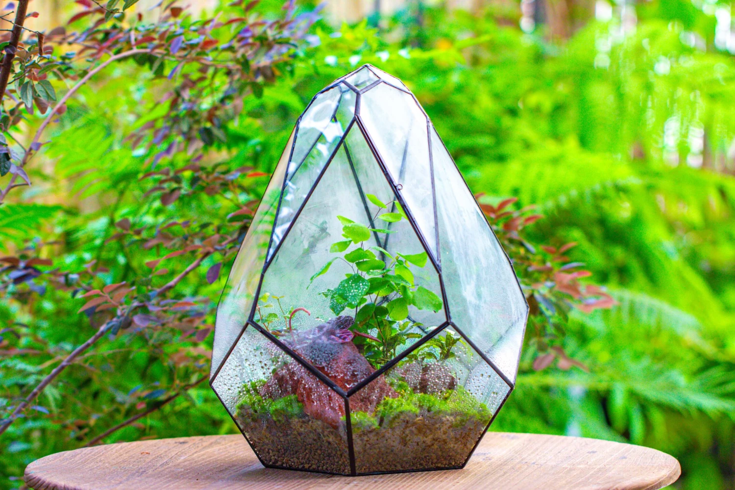 16" Large Teardrop Geometric Terrarium, Close 4 16" Large Teardrop Geometric Terrarium, Close - Image 4