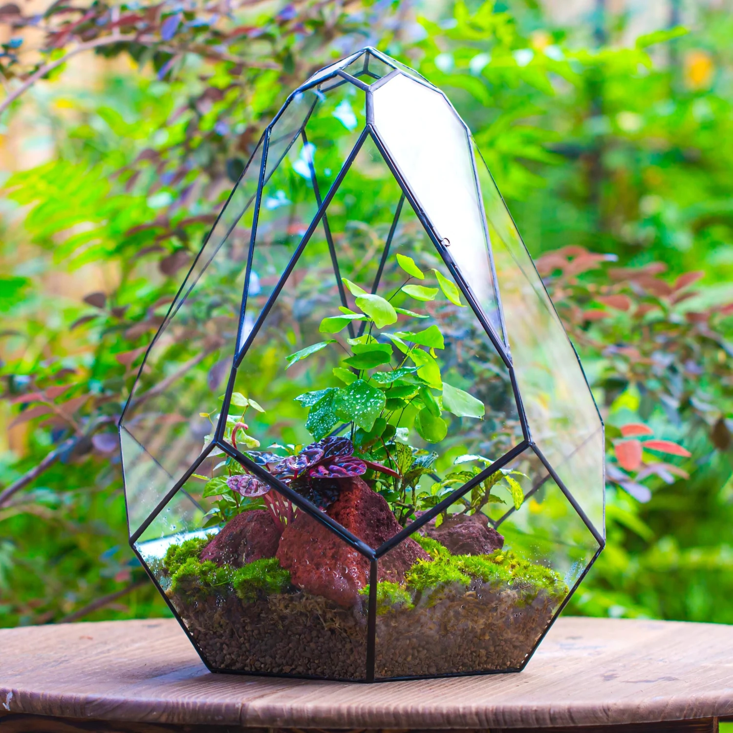 16" Large Teardrop Geometric Terrarium, Close 3 16" Large Teardrop Geometric Terrarium, Close - Image 3