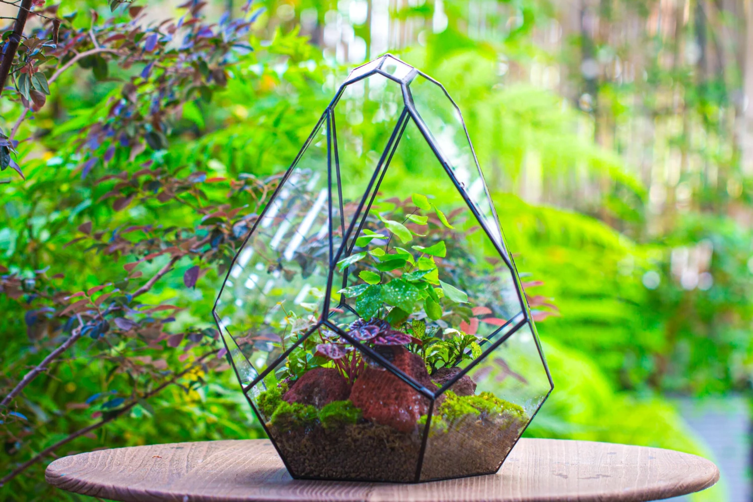 16" Large Teardrop Geometric Terrarium, Close 8 16" Large Teardrop Geometric Terrarium, Close - Image 8