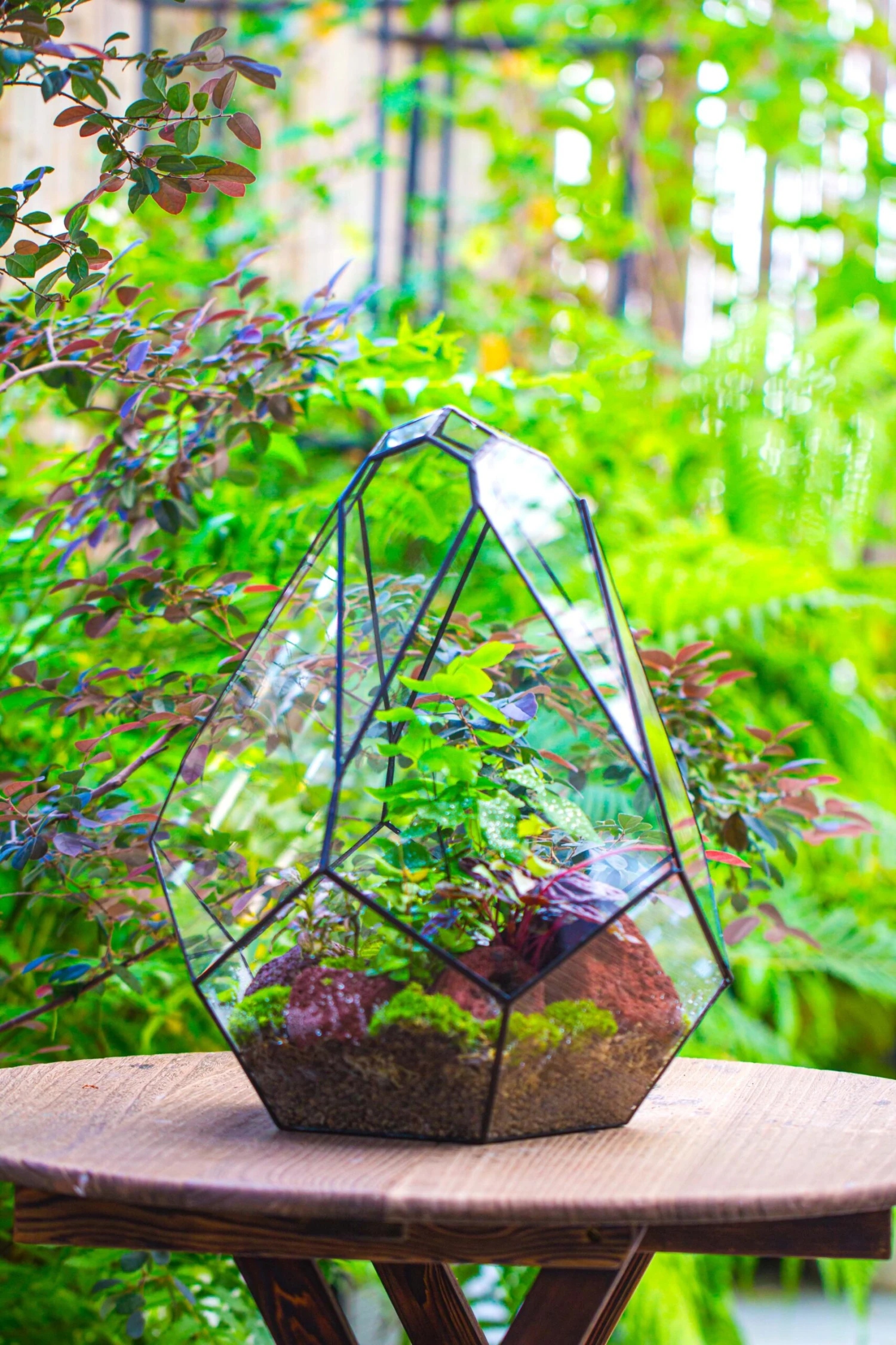 16" Large Teardrop Geometric Terrarium, Close 15 16" Large Teardrop Geometric Terrarium, Close - Image 15